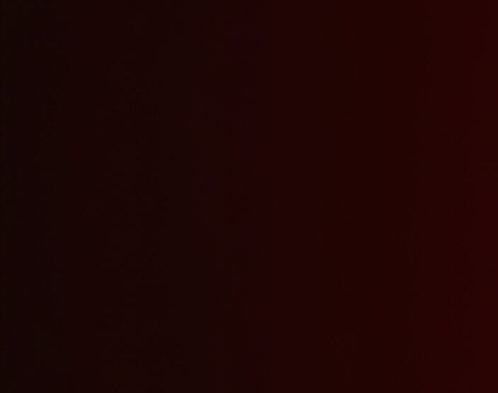 WHO THE AWARDS HONOUR